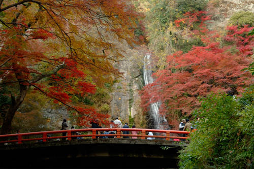 4 điểm đến lý tưởng để ngắm mùa thu ở Osaka