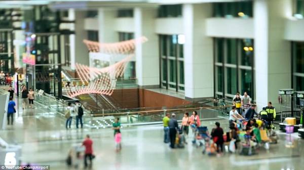 du lịch singapore, khách sạn singapore, sân bay changi, singapore, 24 giờ bên trong changi – sân bay tốt nhất thế giới