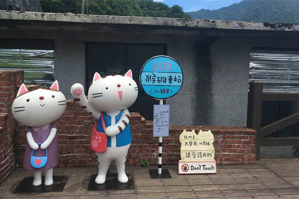 Ngôi làng ở Đài Loan, nơi mọi thứ đều liên quan đến mèo