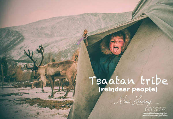 bộ lạc tsaatan, mông cổ, một bộ ảnh không thể đẹp và cảm xúc hơn về chuyến hành trình tới bộ lạc tuần lộc cuối cùng ở mông cổ!