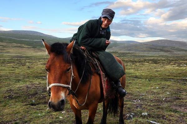 Cuộc sống của người chăn tuần lộc ở Mông Cổ