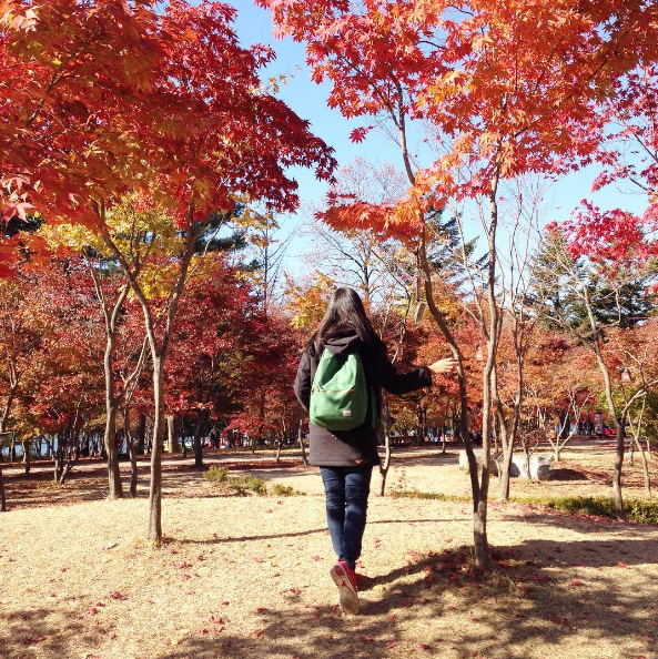 du lịch seoul, hàn quốc, khách sạn seoul, đảo nami, đảo nami điểm đến lý tưởng cho chuyến du lịch hàn quốc mùa thu