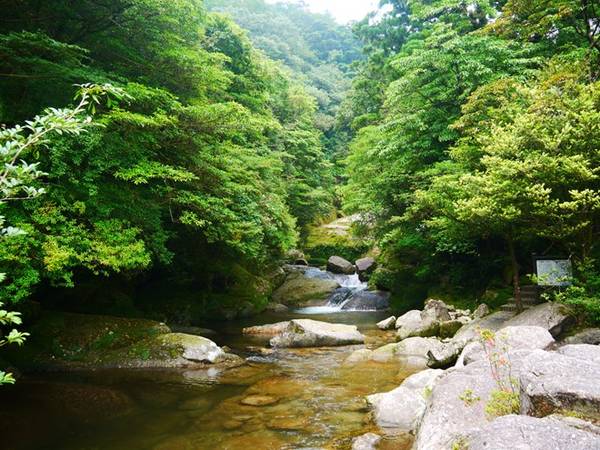 du lịch tokyo, 5 hòn đảo xứng đáng ghé thăm khi tới nhật