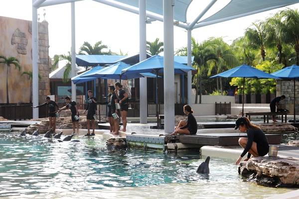 Đến Resorts World Sentosa Singapore đừng quên trải nghiệm tại Đảo Cá Heo đầy thú vị