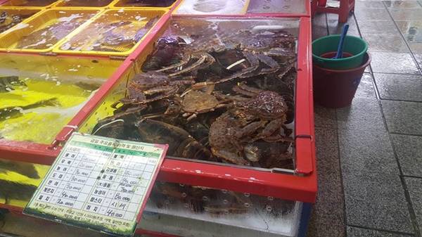 du lịch seoul, hàn quốc, khách sạn seoul, đi chợ hải sản lớn nhất hàn quốc