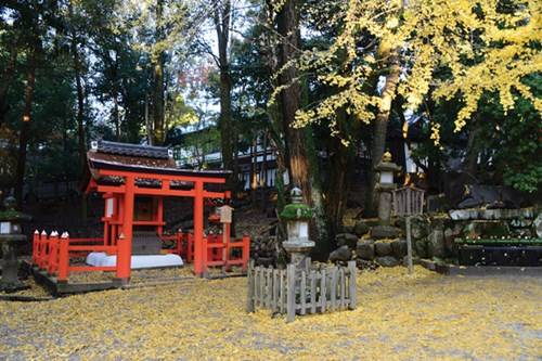 du lịch tokyo, mùa lá đỏ, mùa lá đỏ về đất phù tang
