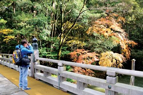du lịch tokyo, mùa lá đỏ, mùa lá đỏ về đất phù tang
