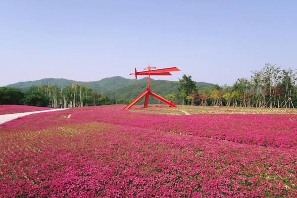 du lịch seoul, khách sạn seoul, museum san, bảo tàng nghệ thuật museum san – điểm đến tuyệt đẹp nên check-in khi du lịch hàn quốc