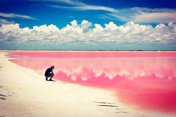 Bãi biển màu hồng huyền ảo như trong cổ tích