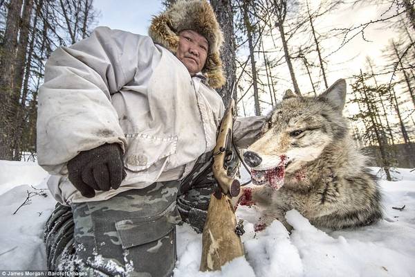 Những người săn sói ở Siberia