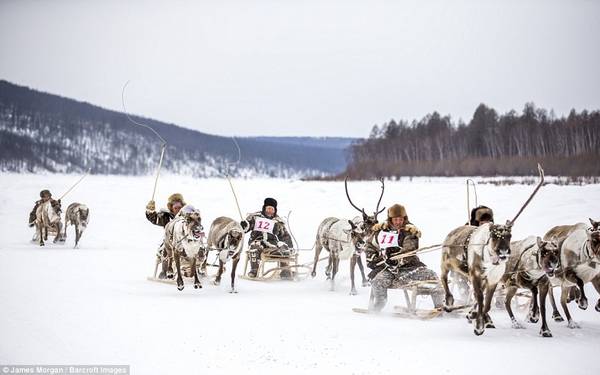 du lịch siberia, săn sói ở siberia, tộc người evenki, tuần lộc, những người săn sói ở siberia