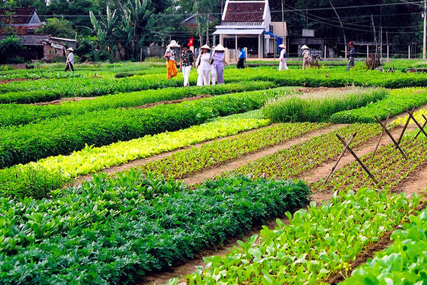 quảng nam, 18 điểm check in đẹp và chất ở quảng nam