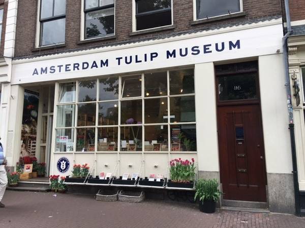 amsterdam, du lịch amsterdam, du lịch hà lan, khám phá amsterdam, thủ đô hà lan, amsterdam yên bình qua ống kính người việt