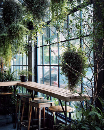 gardenista, hà nội, highlands coffee vtv, le petit café, nhà 9nkc, quán cà phê ‘xanh’ làm dịu mát ngày nóng hà nội