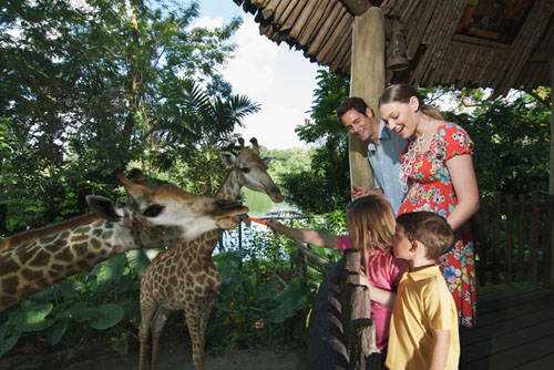 5 sở thú ở Singapore khiến trẻ em thích mê