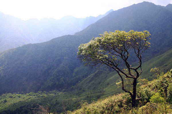 núi tà chì nhù, phượt, tà chì nhù, tây bắc, chinh phục đỉnh tà chì nhù đầy nắng và gió