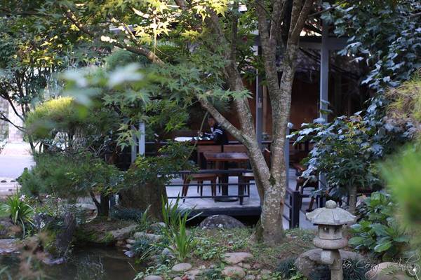 Du lịch Đà Lạt khám phá khu vườn Nhật Bản tại Zen Garden Coffee