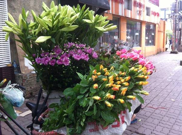 Hoa loa kèn trên phố Sài Gòn