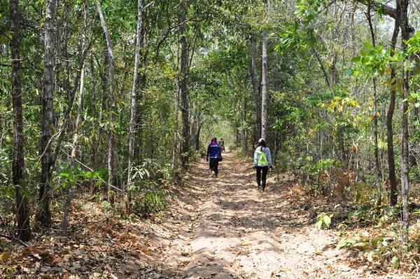 24h khám phá rừng Bưng Thị hoang sơ ở Bình Thuận