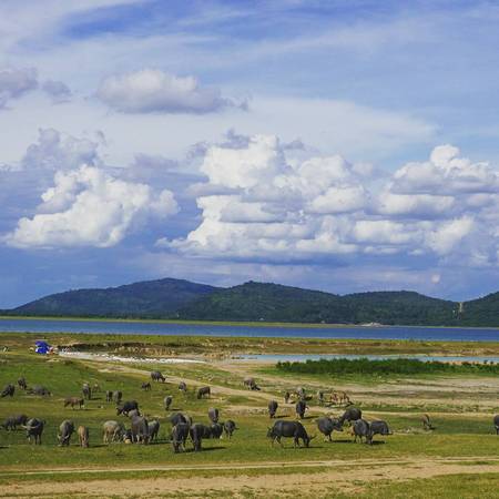 hồ dầu tiếng, ma thiên lãnh, núi bà đen, tour tây ninh, 7 điểm đến hấp dẫn không thể bỏ qua khi du lịch tây ninh