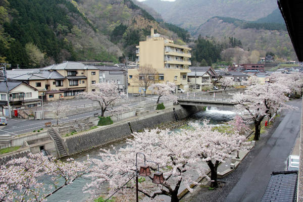 Yamagata – vùng đất của hoa anh đào và mì ramen