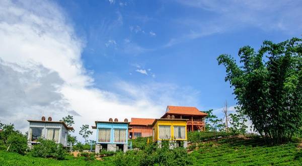 arena village, bungalow container, khach san moc chau, mộc châu, du lịch mộc châu ngủ bungalow container ngắm những đồi chè xanh mát