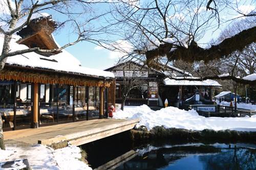làng cổ oshino hakkai, nhật bản, núi phú sĩ, du xuân dưới ‘nóc nhà’ nhật bản