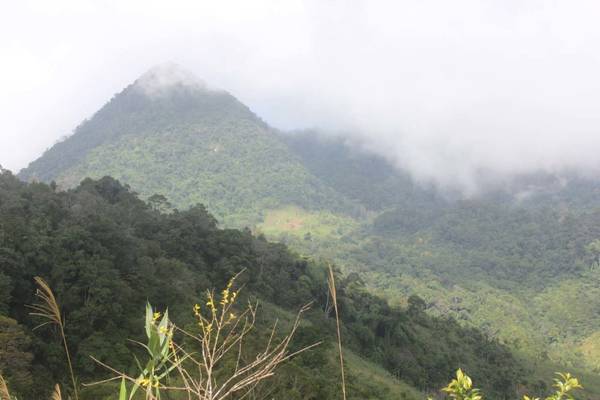 ivivu.com, núi cà đam, đặt khách sạn, chinh phục núi cà đam, đất của loài sâm bảy lá