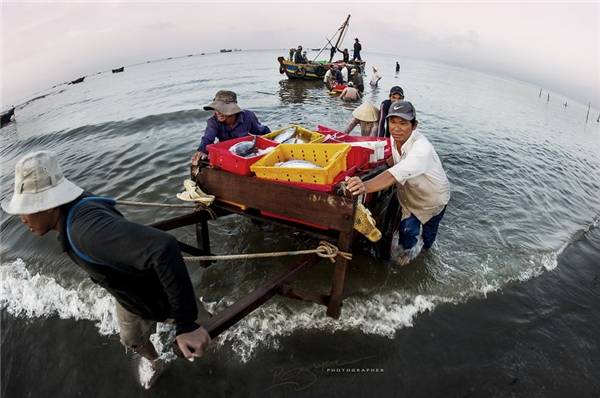 Ngắm vẻ sống động của cảng cá Long Hải trên báo mạng quốc tế