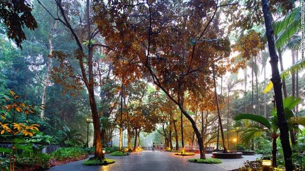 du lịch singapore, khách sạn, khách sạn singapore, singapore, rừng mưa nguyên sinh giữa lòng singapore
