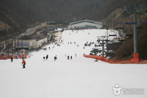 hàn quốc, ivivu.com, thiên đường cho người đam mê trượt tuyết ở hàn quốc