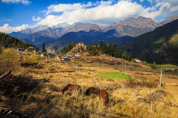 du lịch bhutan, ivivu.com, khách sạn, đặt khách sạn, những khoảnh khắc tuyệt đẹp ở xứ sở cổ tích bhutan