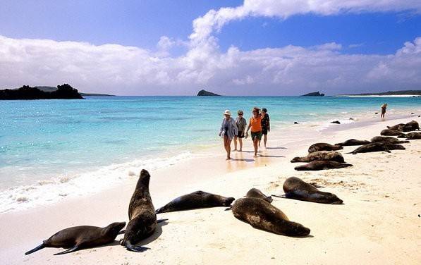Khám phá vẻ đẹp quần đảo Galapagos