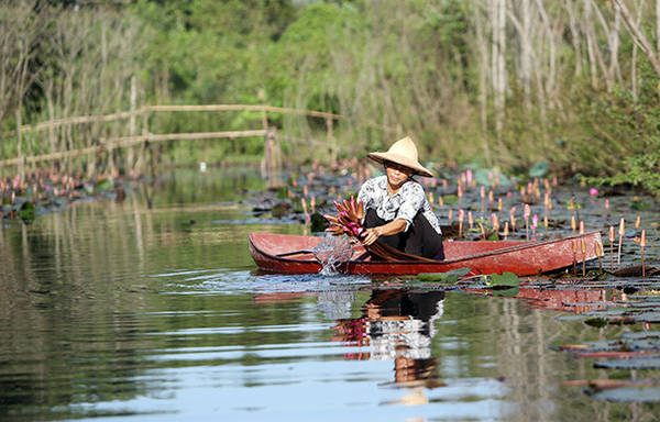 chùa hương, ivivu.com, du lịch hà nội ngắm suối yến đẹp như tranh vẽ mùa hoa súng