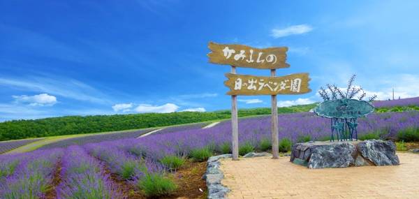 Du lịch Nhật Bản – Tận hưởng tuần trăng mật ngọt ngào tại Hokkaido