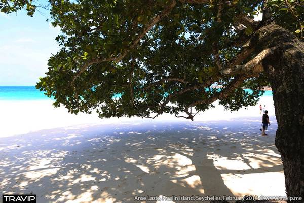 ấn độ dương, ivivu.com, seychelles, seychelles: vườn địa đàng giữa đại dương