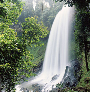 5 ngọn thác tuyệt đẹp ở Lâm Đồng