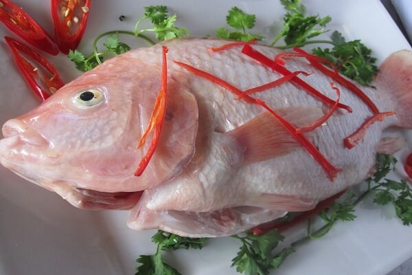 cá diêu hồng, note ngay bí kíp làm món cá diêu hồng chiên xù thơm ngon, giòn rụm
