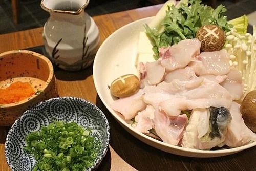 cá nóc, du lịch kyoto, du lịch tokyo, khách sạn tokyo, tham quan tokyo, cá nóc – món kịch độc vừa ăn vừa run