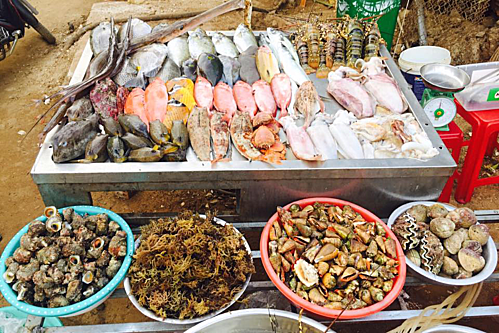 đảo lý sơn, cá tà ma và những món ăn nổi tiếng ở lý sơn