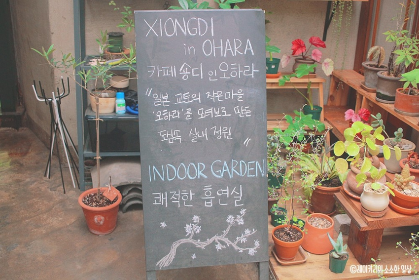 Top 10 quán cafe sân vườn “cực hot” nên ghé thử khi du lịch Seoul