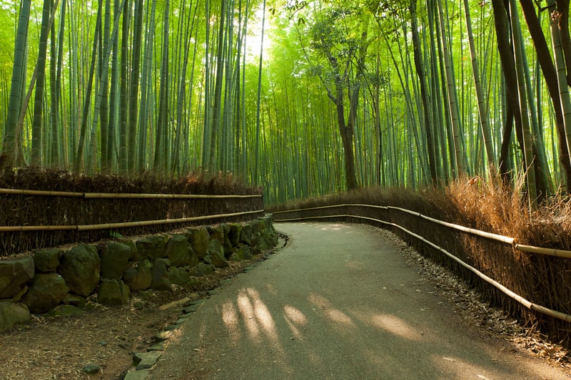 địa điểm nước ngoài, arashiyama rừng trúc đẹp như phim kiếm hiệp ở  kyoto, nhật bản