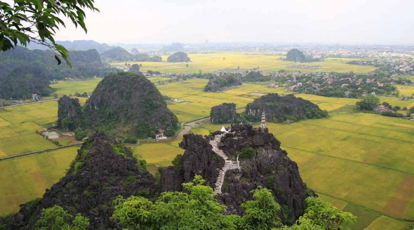Hang Múa – địa điểm ngắm mùa “vàng” đẹp nhất ở Ninh Bình