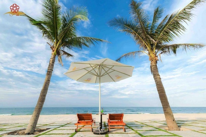 Bỏ Túi Top 20+ Resort Quảng Bình Hiện Đại, Tiện Nghi Bậc Nhất