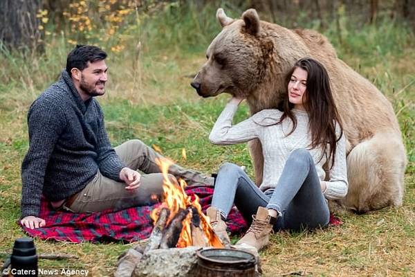 Cặp đôi cắm trại cùng gấu xám to béo, ngoan như cún