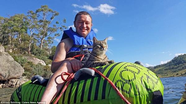 du lịch, du lịch australia, mẹo du lịch, mèo yoshi, chú mèo lội suối, cắm trại cùng chủ