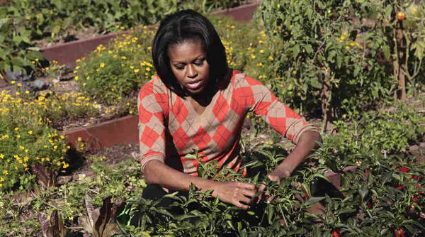 du lịch mỹ, tổng thống obama, vườn rau sạch, vườn rau sạch đủ loại của gia đình obama tại nhà trắng