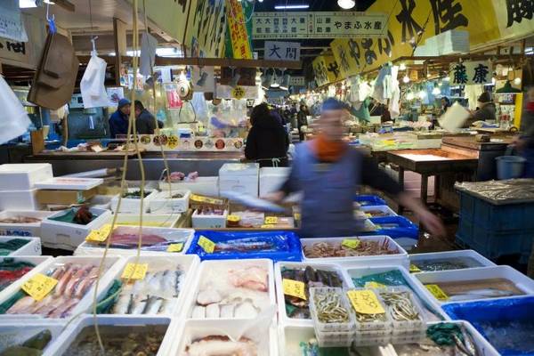 chợ cá tsukiji, chợ hội an, chợ la boqueria, du lịch barceloni, du lịch tokyo, thăm những khu chợ gây “thèm thuồng” nhất thế giới