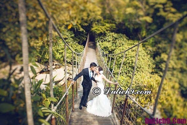 Gợi ý 5 địa điểm chụp ảnh cưới đẹp ở Tam Đảo lãng mạn nhất
