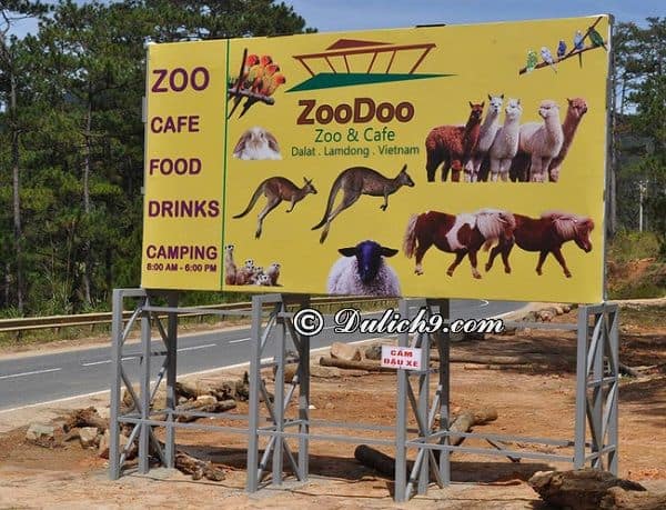 Kinh nghiệm tham quan vườn thú Zoodoo Đà Lạt: Đi lại, vé…